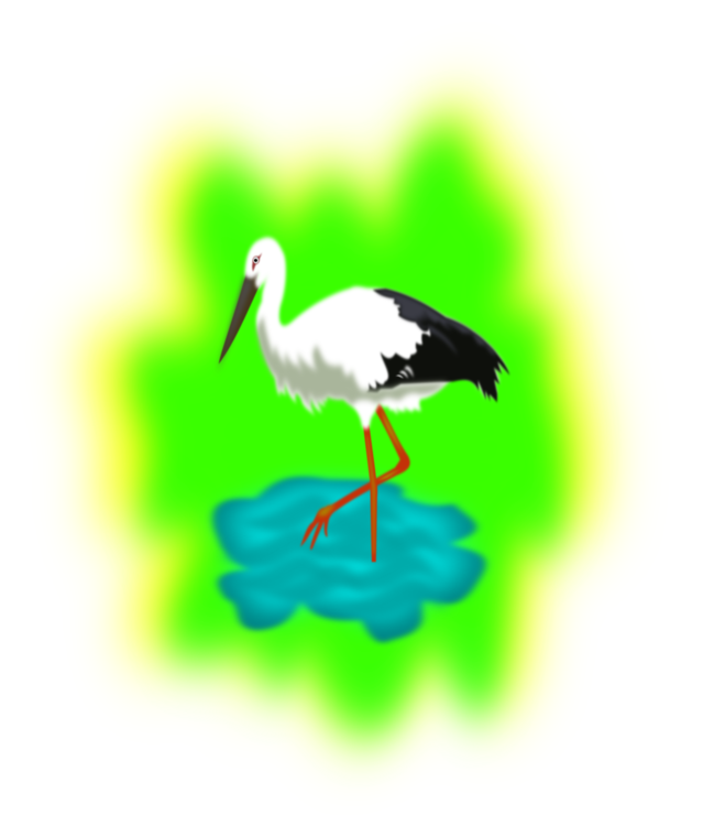 Water Bird,Ciconiiformes,Crane Like Bird