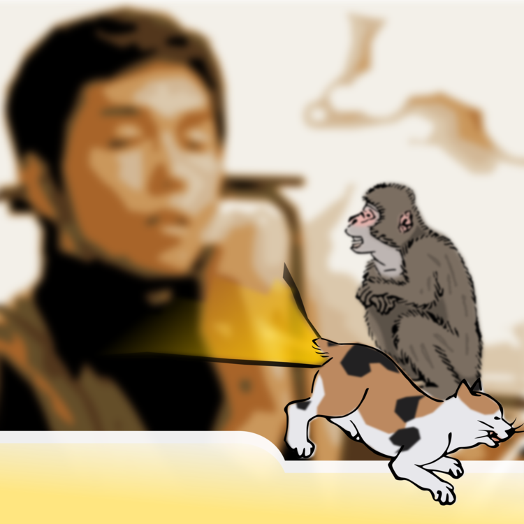 Human Behavior,Primate,Vertebrate