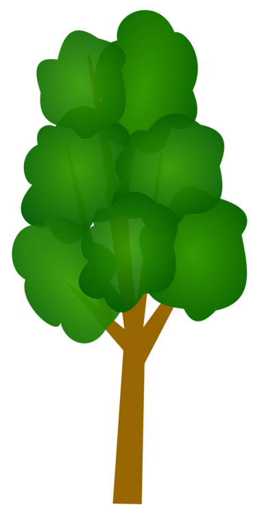 Plant,Leaf,Symbol