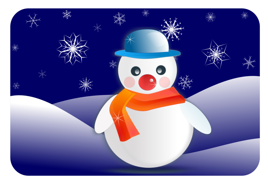 Snowman,Flightless Bird,Christmas Ornament