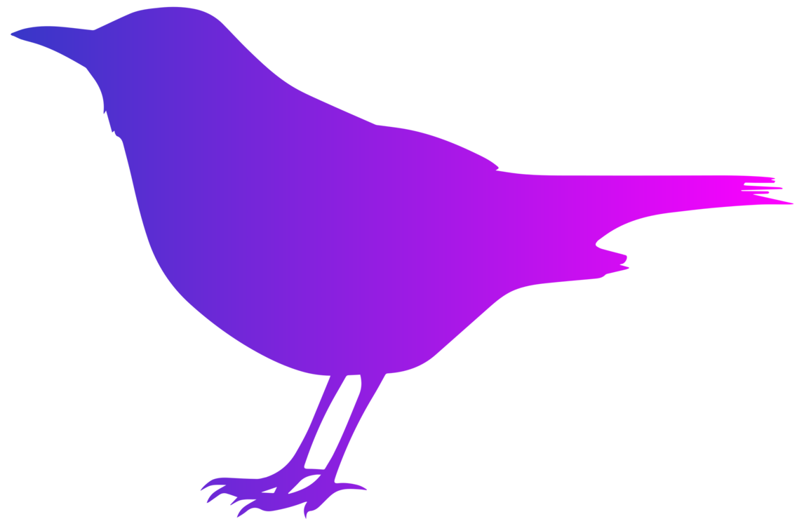 Silhouette,Purple,Beak