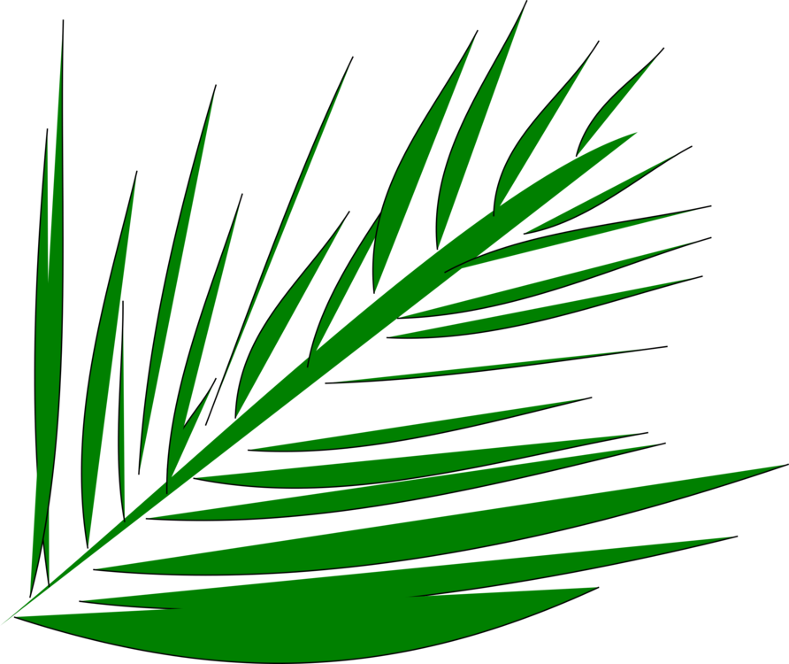 Line Art,Plant,Flora