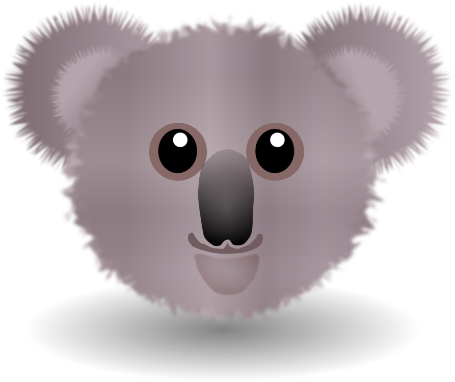 Rodent,Head,Koala