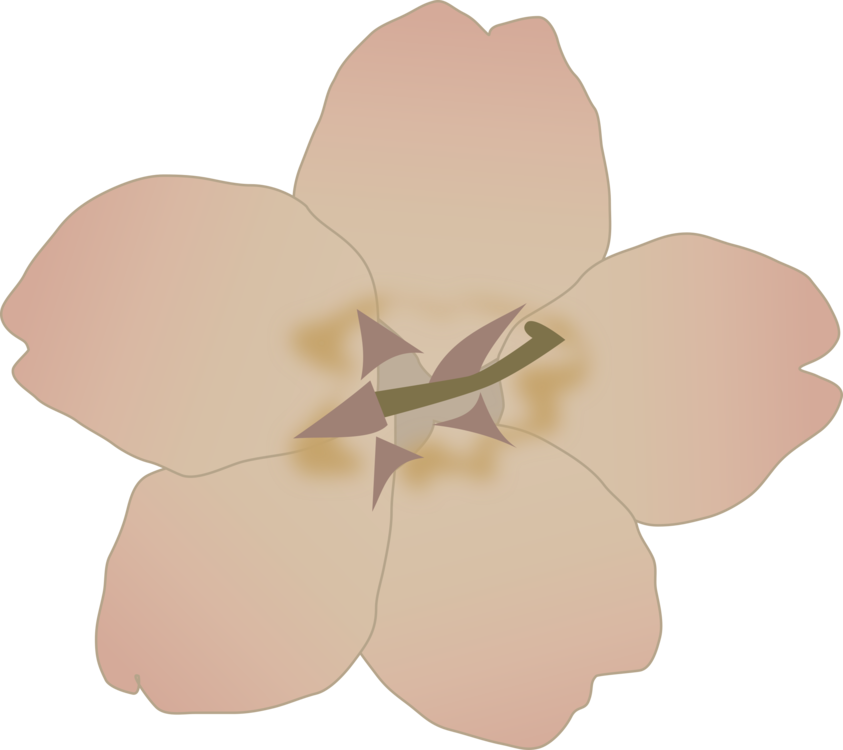 Petal,Plant,Flower