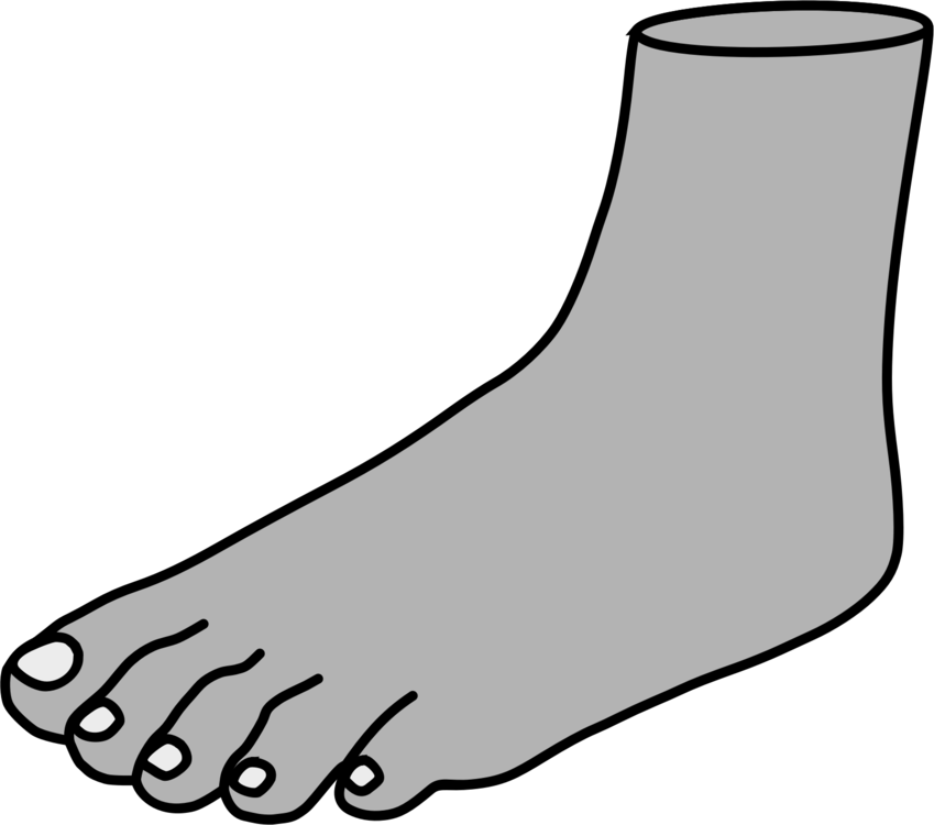 Shoe,Human Leg,Line Art