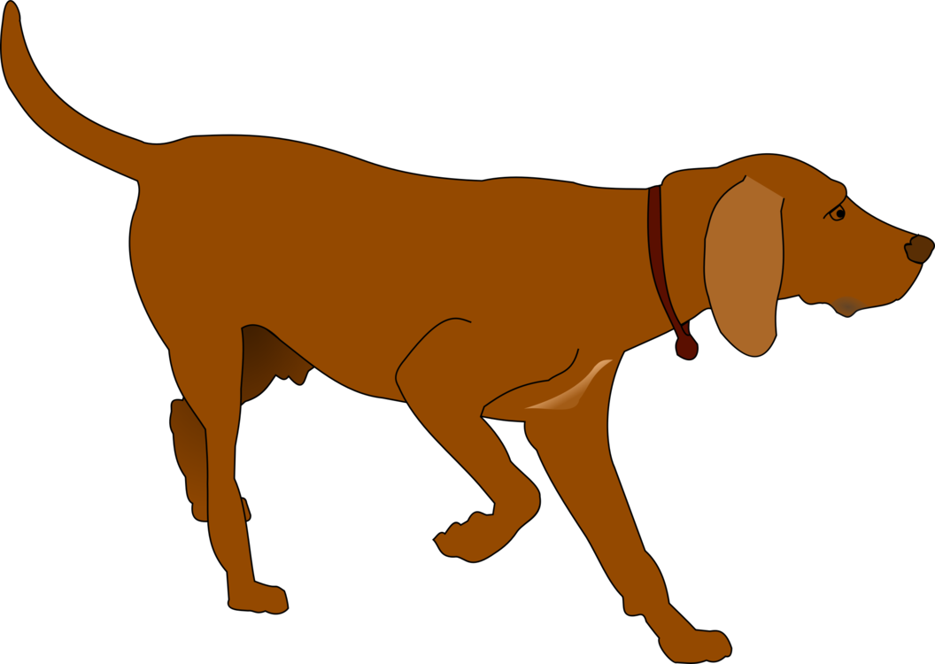 Redbone Coonhound,Paw,Carnivoran