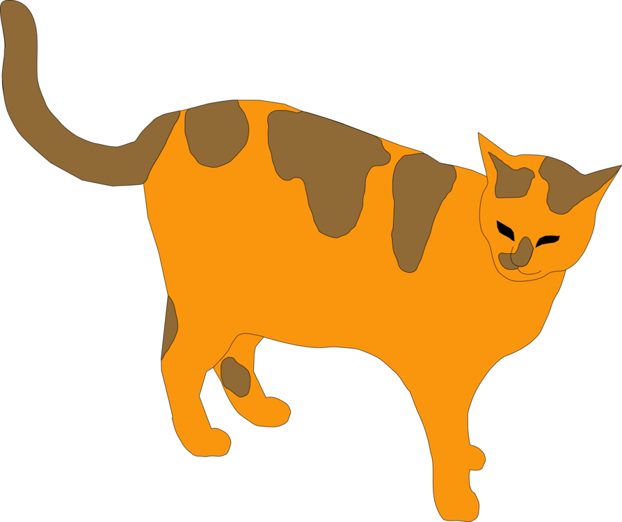 Wild Cat,Carnivoran,Kitten