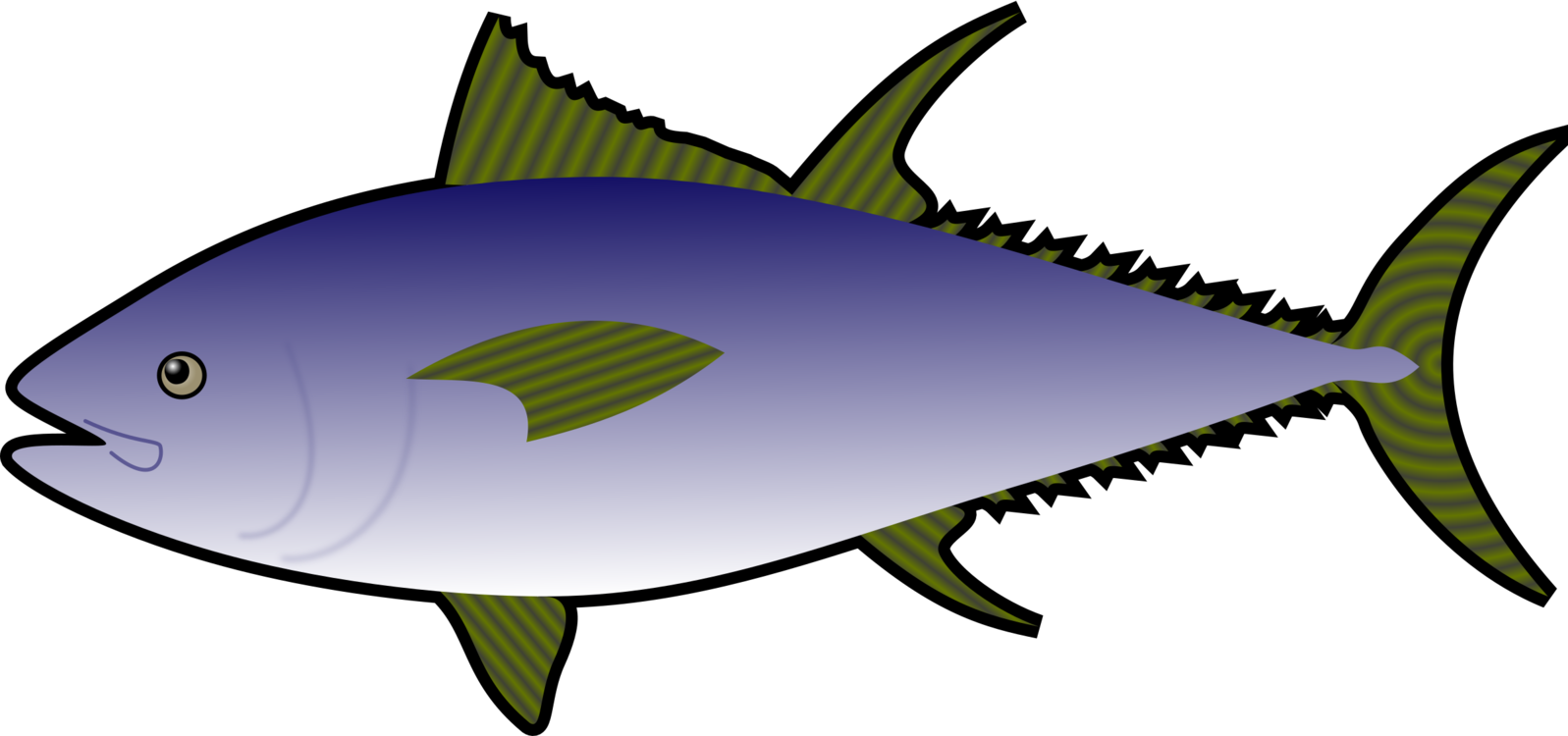 Tuna,Marine Biology,Shark