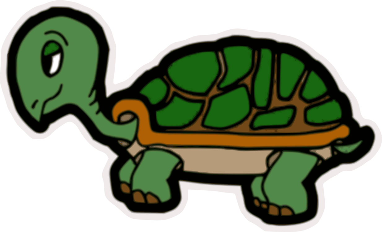 Turtle,Reptile,Tortoise