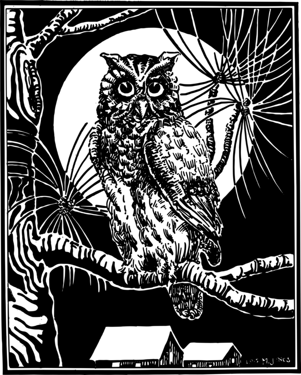 Owl,Art,Monochrome Photography
