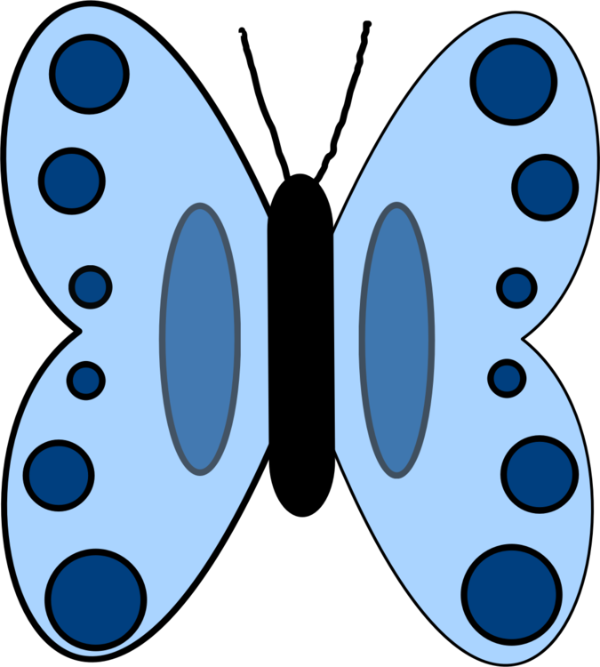 Butterfly,Symmetry,Wing