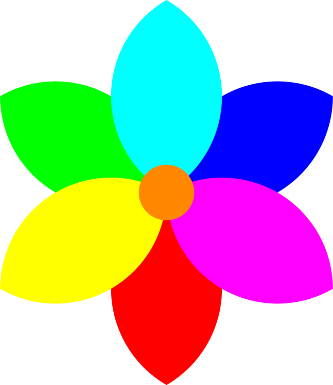 Flower,Leaf,Symmetry PNG Clipart - Royalty Free SVG / PNG