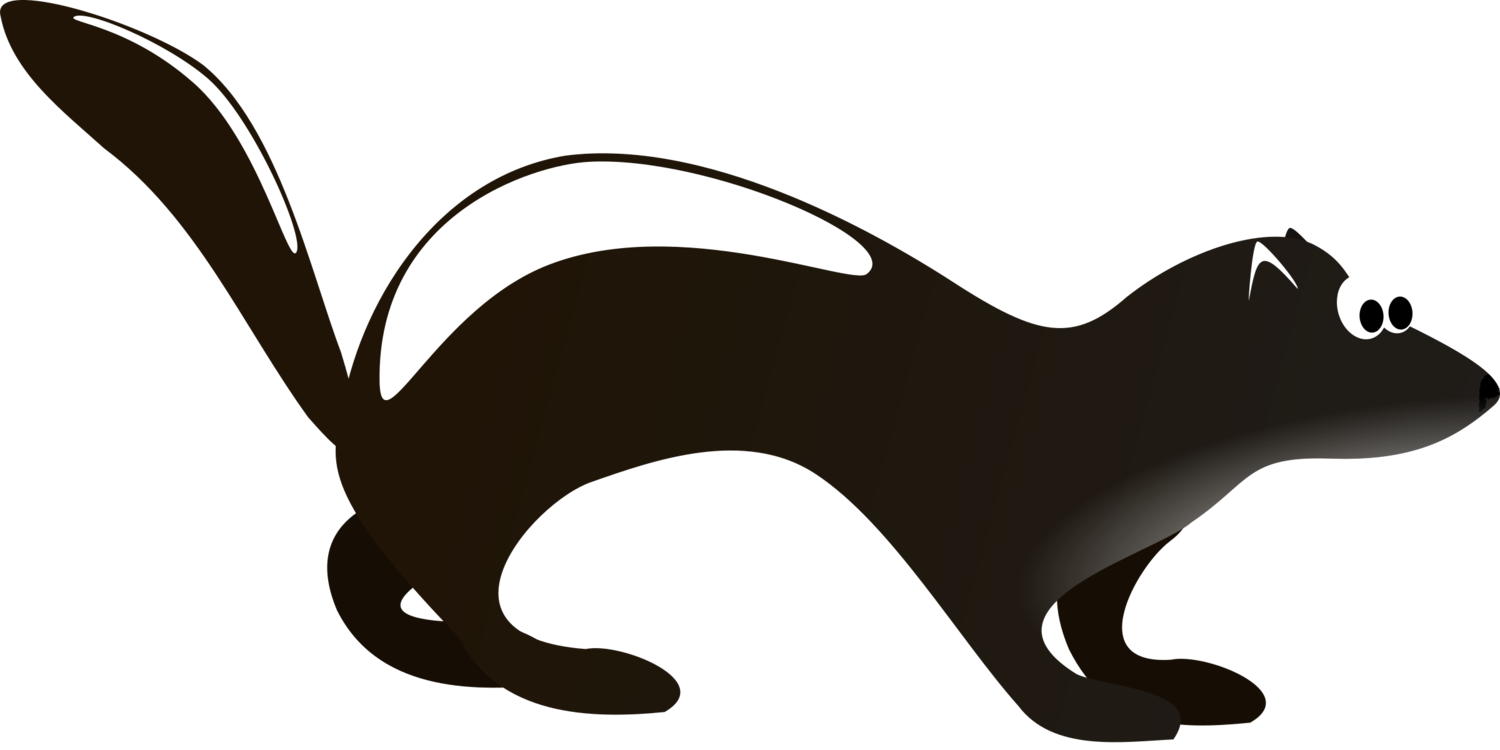 Snout,Wildlife,Puma