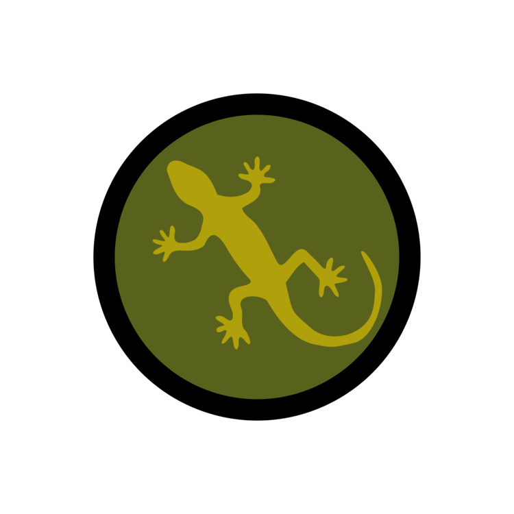 Reptile,Frog,Amphibian