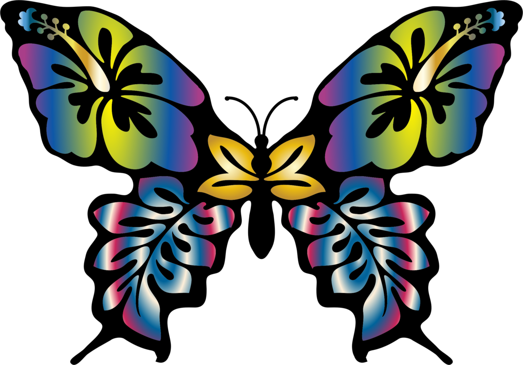 Butterfly,Flower,Symmetry