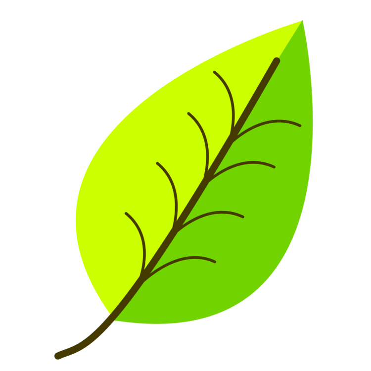 Plant,Leaf,Yellow