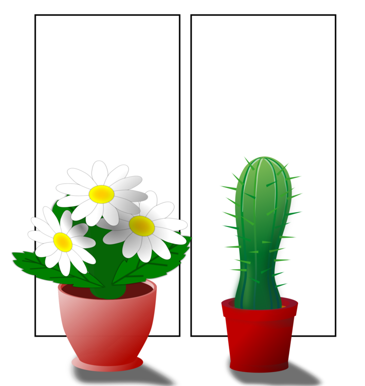 Plant,Flower,Caryophyllales