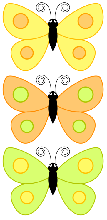 Symmetry,Yellow,Flower