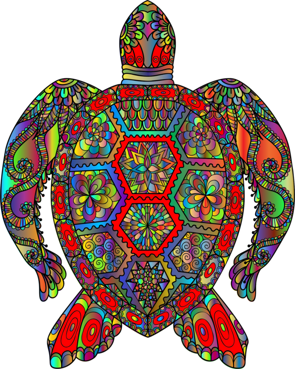Turtle,Visual Arts,Art