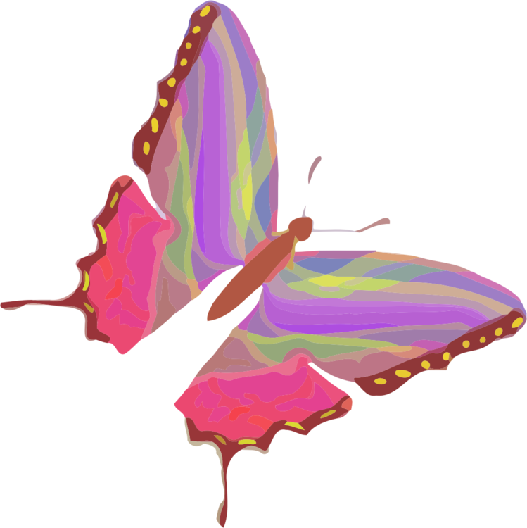 Butterfly,Moth,Pollinator