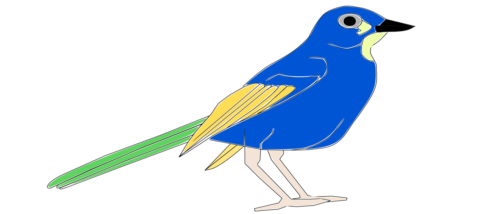Blue Jay Clipart Images, Free Download