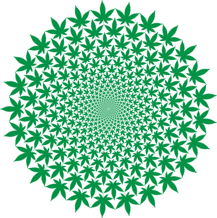 Leaf Symmetry Green Png Clipart Royalty Free Svg Png