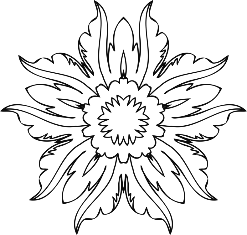 Symmetry,Monochrome Photography,Petal PNG Clipart - Royalty Free SVG / PNG