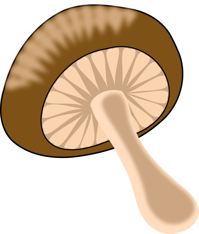 Beige,Edible Mushroom,Mushroom