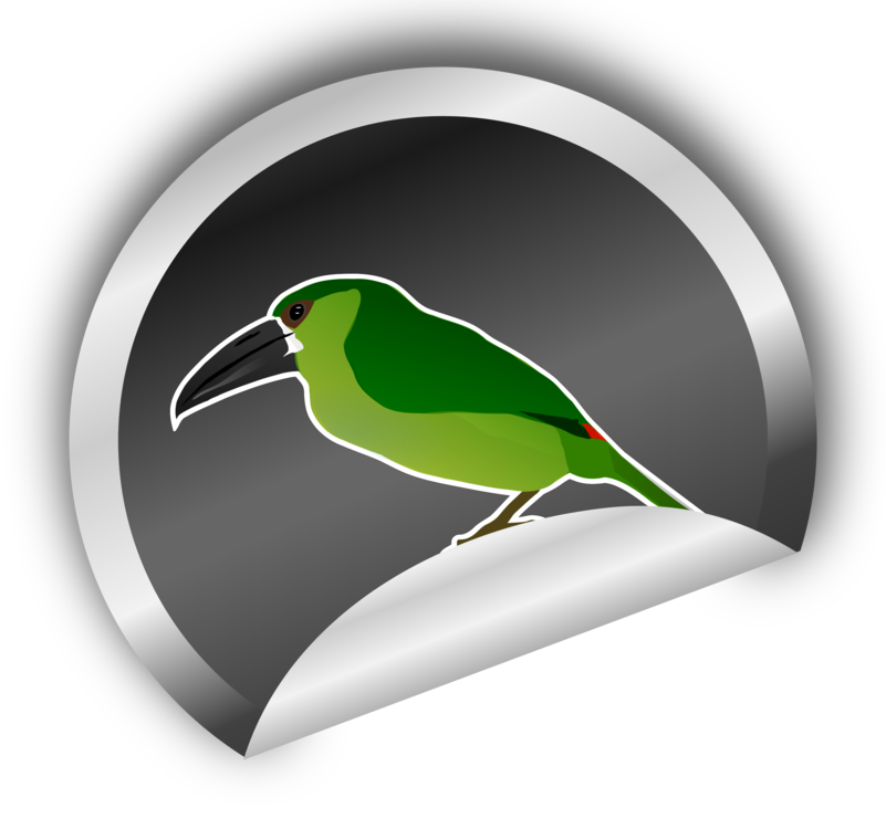 Beak,Bird,Green