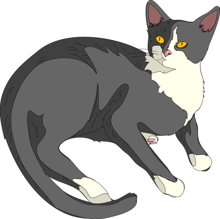 Domestic Short Haired Cat,Claw,Small To Medium Sized Cats