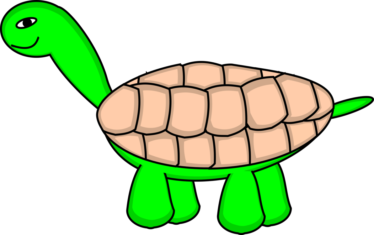 Turtle,Line Art,Reptile