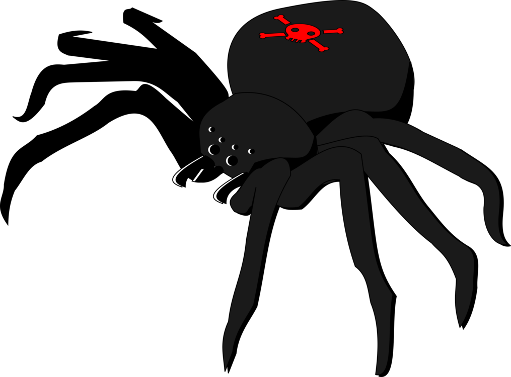 Silhouette,Widow Spider,Invertebrate