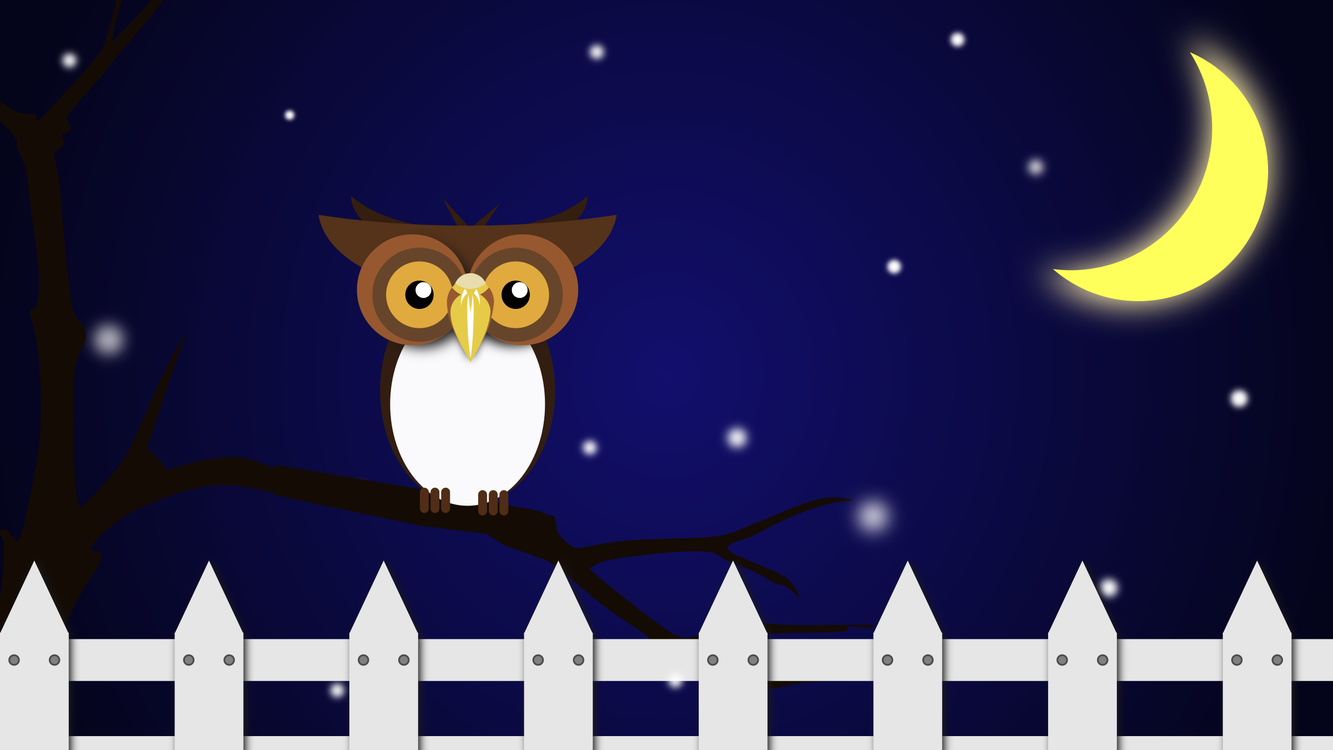 Owl,Screenshot,Space
