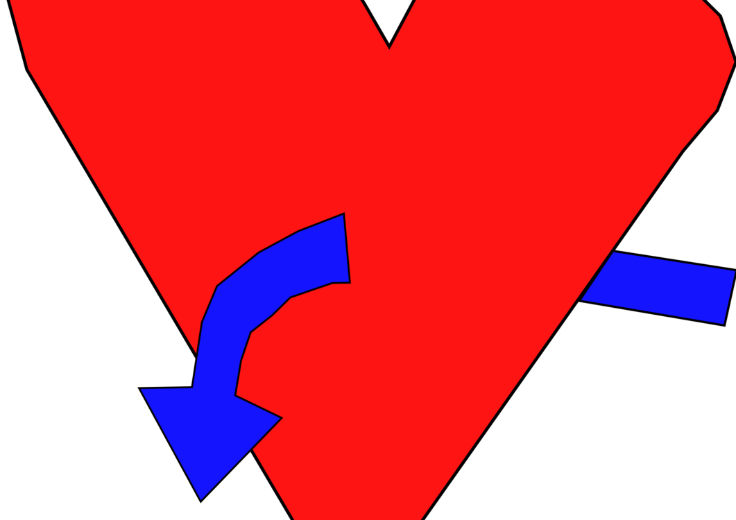 Heart,Angle,Organ