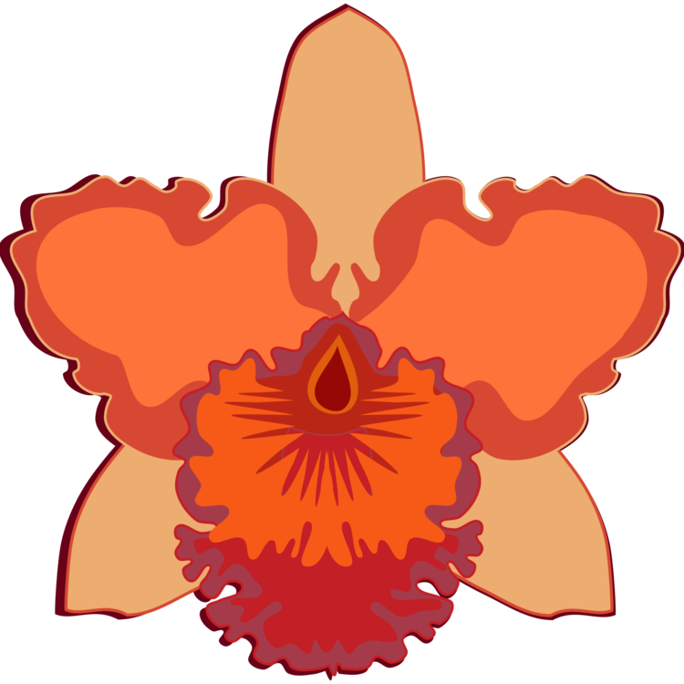 Plant,Flower,Peach