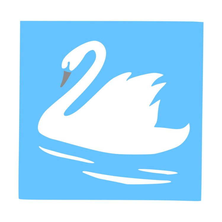 Blue,Water Bird,Area