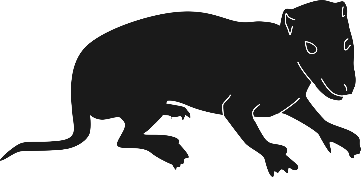 Rodent,Wildlife,Silhouette