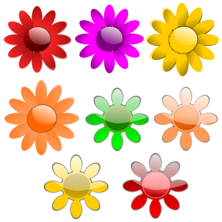 Chrysanths,Flower,Petal