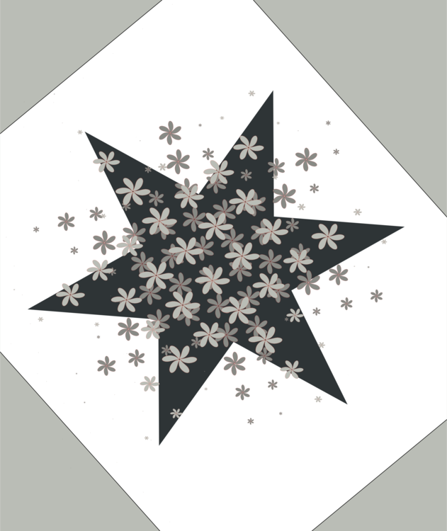 Christmas Ornament,Star,Symmetry