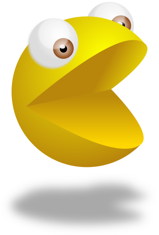 Water Bird,Vertebrate,Yellow