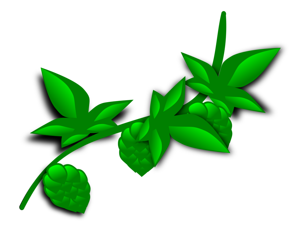 Plant,Leaf,Green