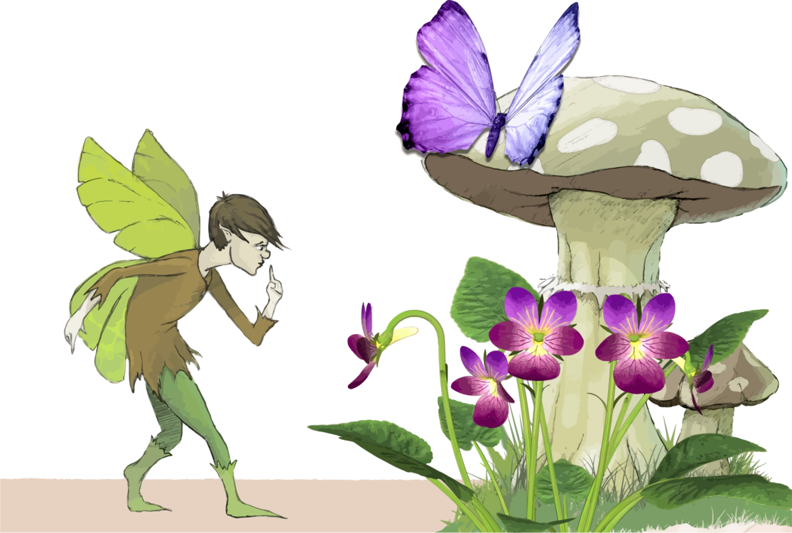 Butterfly,Plant,Flora