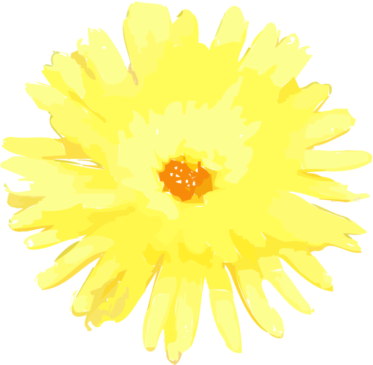 Pollen,Chrysanths,Flower
