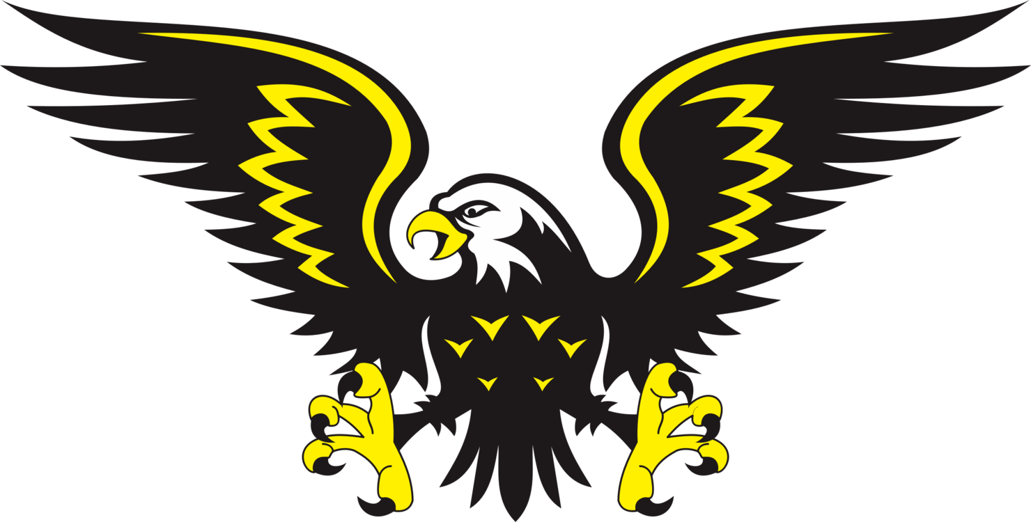 Eagle,Owl,Symbol