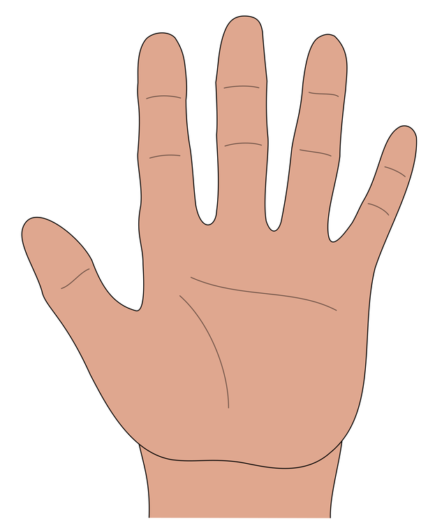 Thumb,Sign Language,Hand