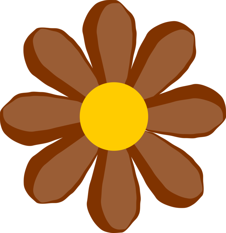 Petal,Flower,Common Daisy