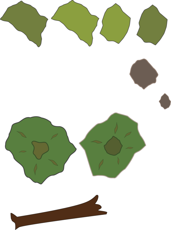 Plant,Leaf,Tree