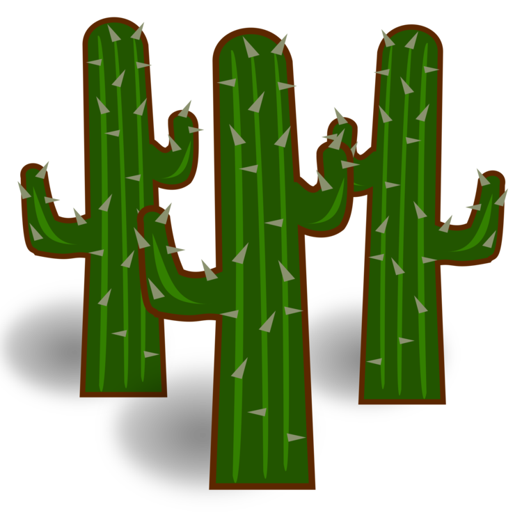 Plant,Cactus,Caryophyllales