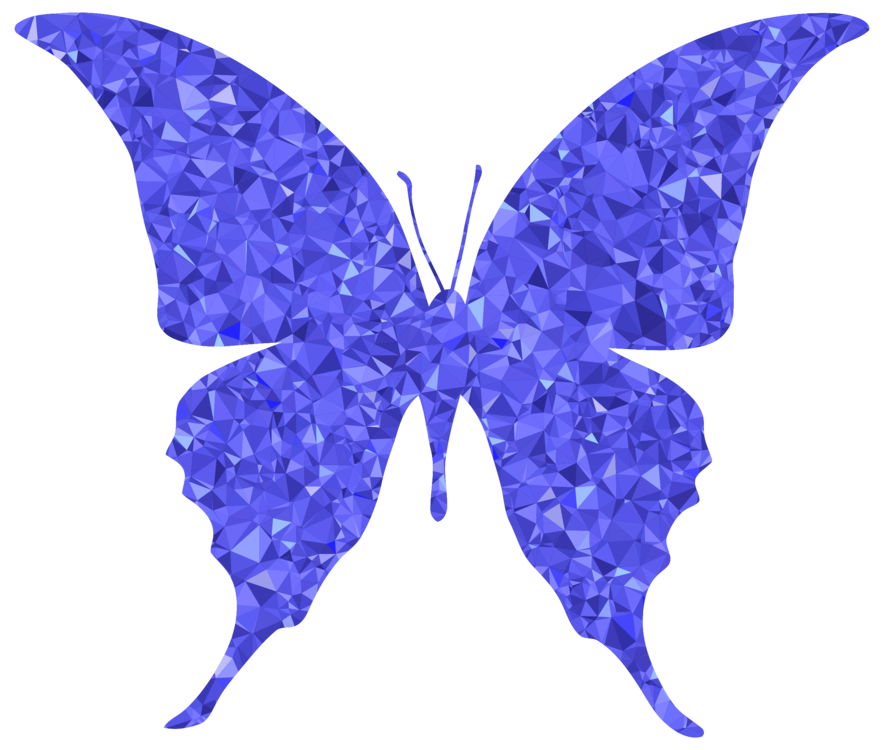 Download Butterfly,Arthropod,Electric Blue PNG Clipart - Royalty ...