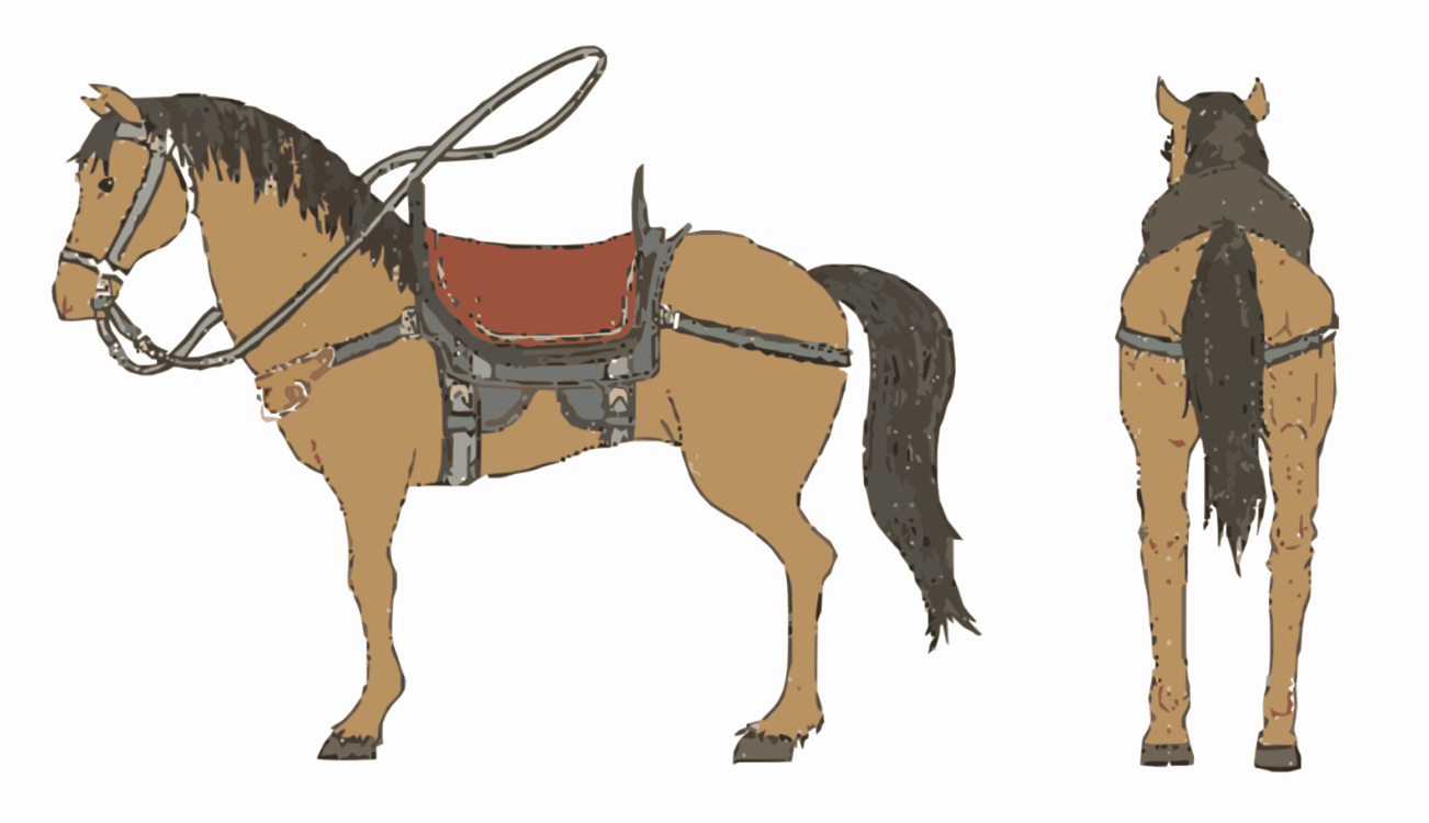 Donkey,Pony,Livestock